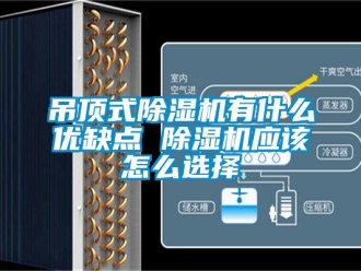 行业资讯吊顶式除湿机有什么优缺点 除湿机应该怎么选择