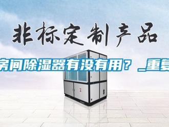 行业资讯房间除湿器有没有用？_重复