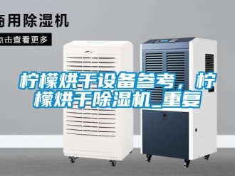 行业资讯柠檬烘干设备参考，柠檬烘干除湿机_重复