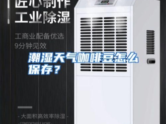 常见问题潮湿天气咖啡豆怎么保存？
