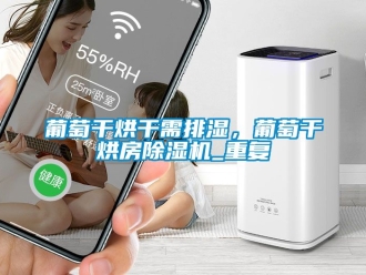 行业资讯葡萄干烘干需排湿，葡萄干烘房除湿机_重复