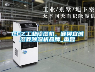 常见问题CFZ工业除湿机，襄樊宜城湿菱除湿机品牌_重复
