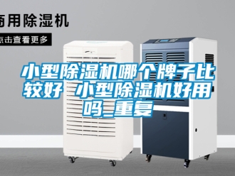 行业资讯小型除湿机哪个牌子比较好 小型除湿机好用吗_重复