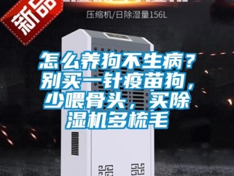 行业资讯怎么养狗不生病？别买一针疫苗狗，少喂骨头，买除湿机多梳毛
