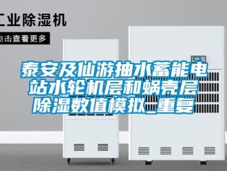 行业资讯泰安及仙游抽水蓄能电站水轮机层和蜗壳层除湿数值模拟_重复
