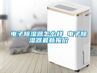行业资讯电子除湿器怎么样 电子除湿器最新报价