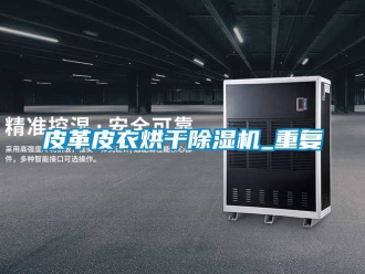 行业资讯皮革皮衣烘干除湿机_重复