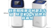 秋雨如晦潮湿问题怎么破 除湿机十大品牌为你解忧