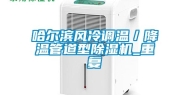 哈尔滨风冷调温／降温管道型除湿机_重复