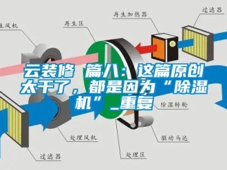 行业资讯云装修 篇八：这篇原创太干了，都是因为“除湿机”_重复