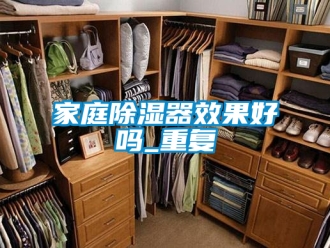 行业资讯家庭除湿器效果好吗_重复