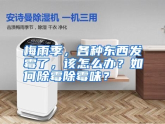 常见问题梅雨季，各种东西发霉了，该怎么办？如何除霉除霉味？