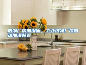 行业资讯洁净厂房加湿器，工业洁净厂房自动加湿装置