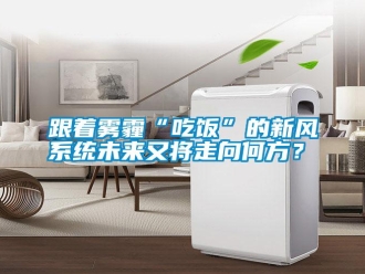 常见问题跟着雾霾“吃饭”的新风系统未来又将走向何方？