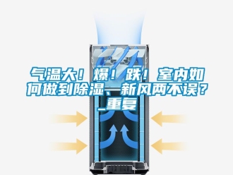 企业动态气温大！爆！跌！室内如何做到除湿、新风两不误？_重复