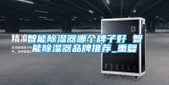 智能除湿器哪个牌子好 智能除湿器品牌推荐_重复