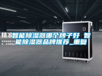 行业资讯智能除湿器哪个牌子好 智能除湿器品牌推荐_重复