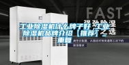 工业除湿机什么牌子好 工业除湿机品牌介绍【推荐】_重复