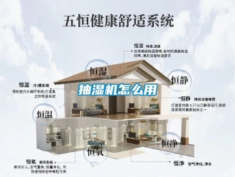 企业动态抽湿机怎么用