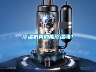 常见问题除湿机真的能除湿吗？