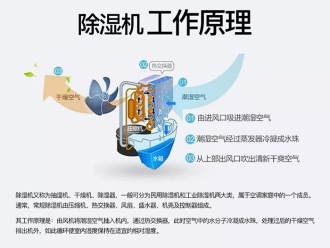 常见问题总是感觉很湿冷或者很怕冷？可能是这几种原因！