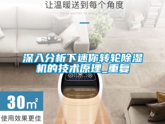 常见问题深入分析下迷你转轮除湿机的技术原理_重复