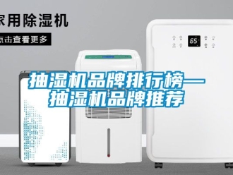 企业动态抽湿机品牌排行榜—抽湿机品牌推荐