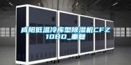 咸阳低温冷库型除湿机CFZ10BD_重复
