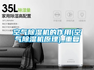 行业资讯空气除湿机的作用(空气除湿机原理)_重复