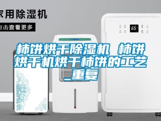 行业资讯柿饼烘干除湿机 柿饼烘干机烘干柿饼的工艺_重复