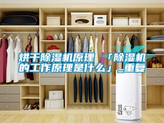 行业资讯烘干除湿机原理 「除湿机的工作原理是什么」_重复