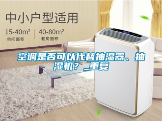 企业动态空调是否可以代替抽湿器、抽湿机？_重复
