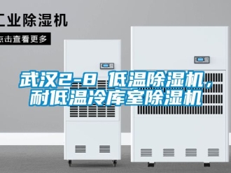 行业资讯武汉2-8℃低温除湿机，耐低温冷库室除湿机
