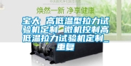 宝大 高低温型拉力试验机定制 微机控制高低温拉力试验机定制_重复