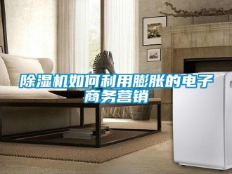 常见问题除湿机如何利用膨胀的电子商务营销