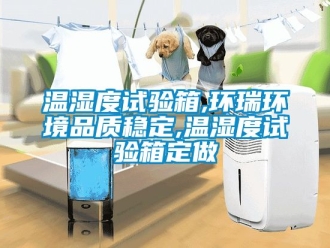 企业动态温湿度试验箱,环瑞环境品质稳定,温湿度试验箱定做