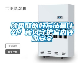 常见问题除甲醛的好方法是什么？新风守护室内呼吸安全
