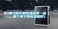 哪个牌子的除湿机好一些（哪个牌子的除湿机好）