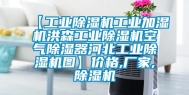 【工业除湿机工业加湿机洪森工业除湿机空气除湿器河北工业除湿机图】价格,厂家,除湿机
