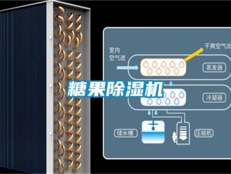 行业资讯糖果除湿机