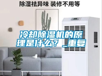 行业资讯冷却除湿机的原理是什么？_重复