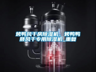 行业资讯烤鸭风干房除湿机，烤鸭鸭胚风干专用除湿机_重复