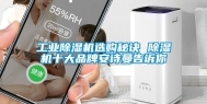 工业除湿机选购秘诀 除湿机十大品牌安诗曼告诉你
