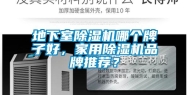 地下室除湿机哪个牌子好，家用除湿机品牌推荐？