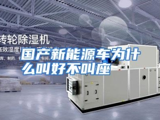 常见问题国产新能源车为什么叫好不叫座