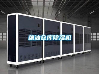企业动态粮油仓库除湿机