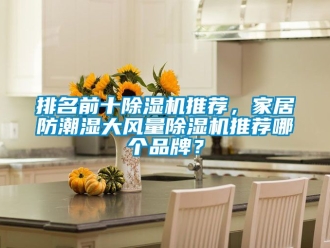 企业动态排名前十除湿机推荐，家居防潮湿大风量除湿机推荐哪个品牌？