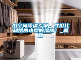 行业资讯小空间除湿专家，性价比超赞的小型除湿器！_重复