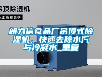 行业资讯朗力信食品厂吊顶式除湿机，快速去除水汽与冷凝水_重复