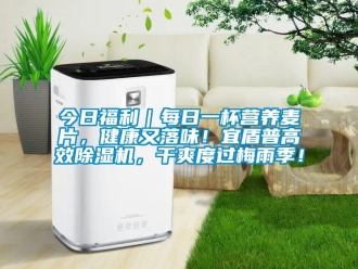 行业资讯今日福利｜每日一杯营养麦片，健康又落味！宜盾普高效除湿机，干爽度过梅雨季！